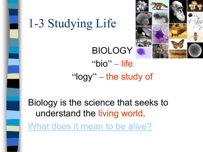 Section 1 3 studying life answer key