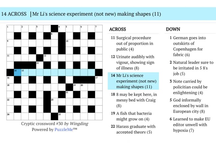 Requirements for some new jobs crossword