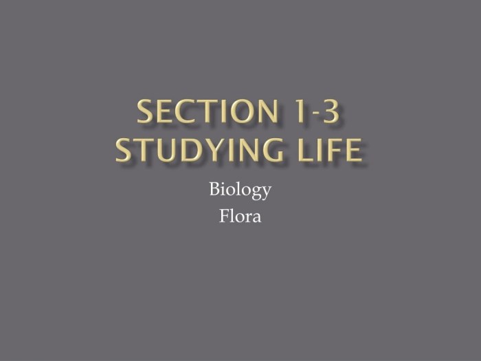 Section 1 3 studying life answer key