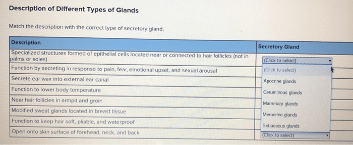 Match the description with the correct type of cytokine