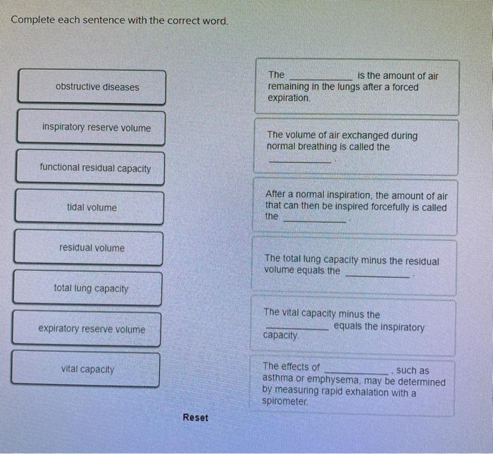 Complete each sentence describing lung volumes and capacities