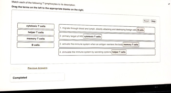 Cytokines biological