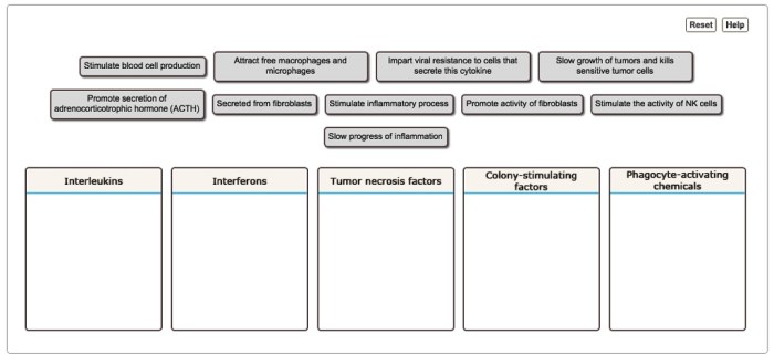 Match the description with the correct type of cytokine