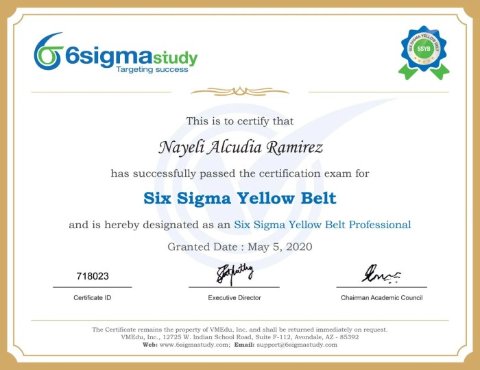 Six sigma yellow belt questions and answers pdf