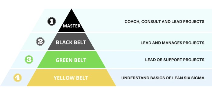 Six sigma yellow belt questions and answers pdf